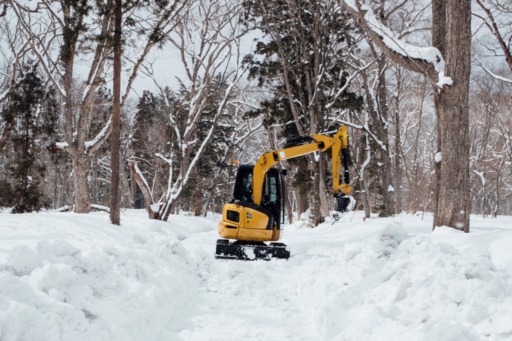N