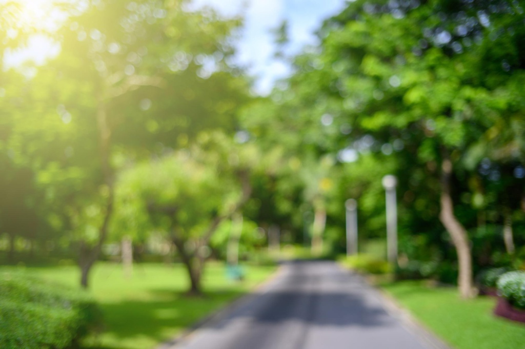 В Вологодской области может появиться ещё один национальный парк