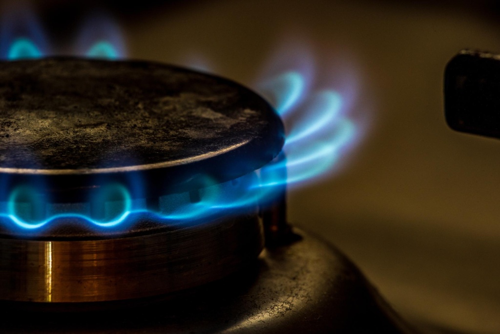 Путин: РФ наладит прямые поставки углеводородов во Вьетнам