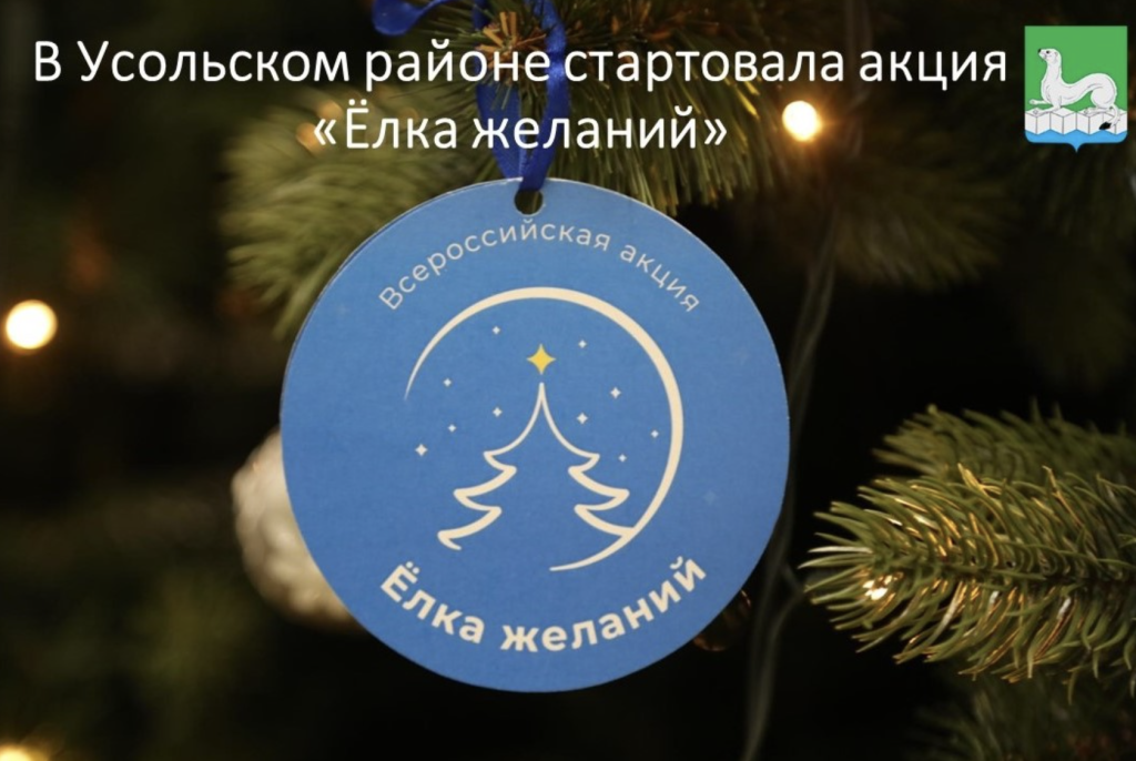 Акция «Ёлка желаний» проходит в Усолье-Сибирском