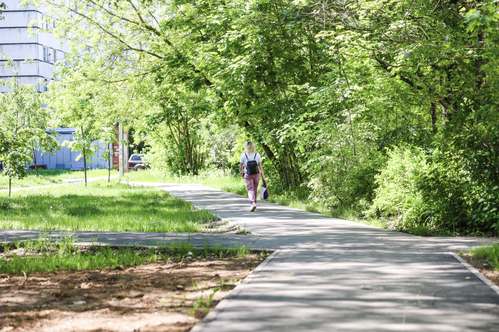 В городском округе Красногорск продолжают обустраивать «Народные тропы»