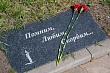 День Победы в Воронеже: депутаты вместе с жителями почтили память героев и поздравили ветеранов